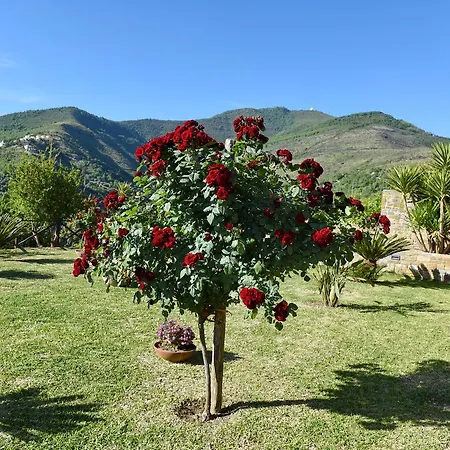 Le Della Corte * Galdo